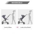 Teknum STROLL - 1 Reversible Travel Stroller