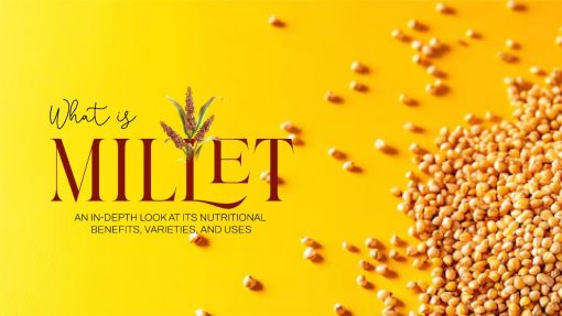 What is Millet? An In-Depth Look at Its Nutritional Benefits, Varieties, and Uses