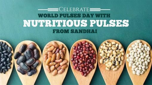 Celebrate World Pulses Day with Nutritious Pulses from Sandhai