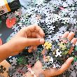 Jigsaw Puzzle - Flowers (1000 pcs)