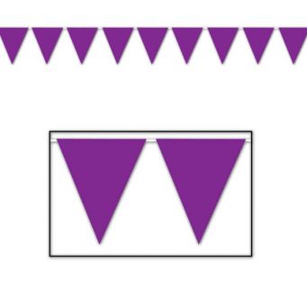 Triangle Pennant Party Banner 