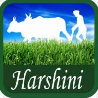 Harshini Groceries